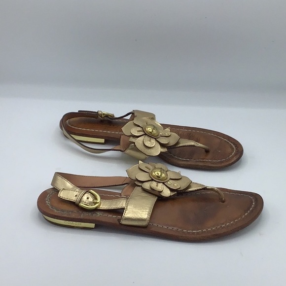 Coach Gold Sari Metallic Flowers Leather Sandals Size 8 - Picture 3 of 14